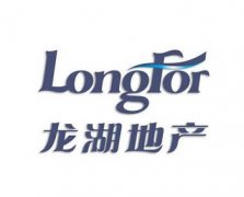 龙湖地产项目
