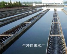 湖南牛冲自来水厂IC卡水表项目