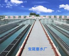 四川宝箴塞自来水厂智能水表项目