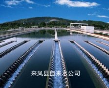 湖北来凤县自来水公司远传阀控水表项目